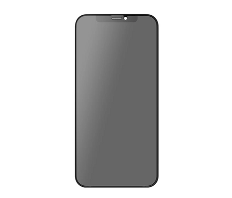 Защитное стекло 5D Privacy (антишпион) матовое для iPhone 11 Pro Max